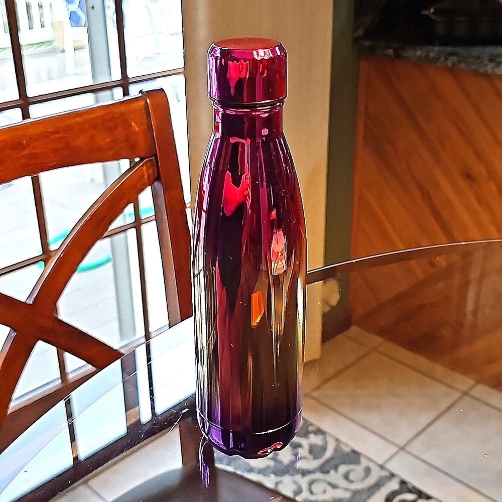 NEVER USED Metallic Water Bottle